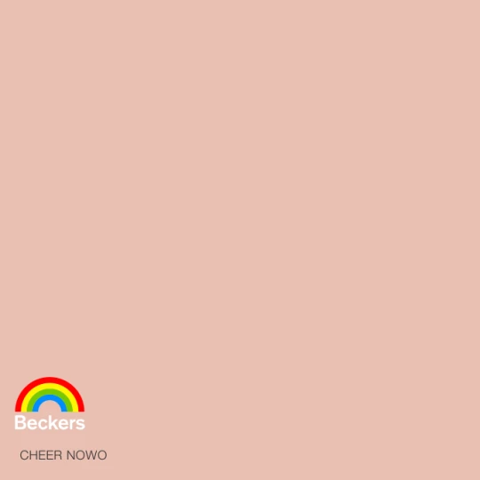 BECKERS DESIGNER COLOUR CHEER 2,5L