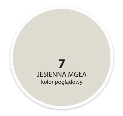 DEKORAL MOC KOLORUJESIENNA MGŁA 5L 