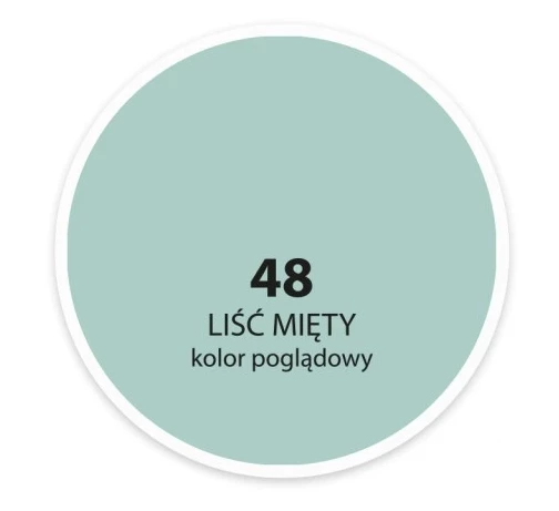 DEKORAL MOC KOLORU LIŚĆ MIĘTY 2,5L 