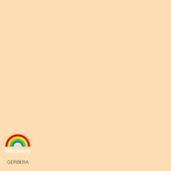 BECKERS DESIGNER COLOUR GERBERA 2,5L