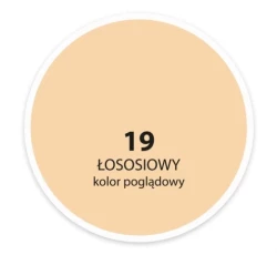 DEKORAL MOC KOLORU ŁOSOSIOWY 2,5L 