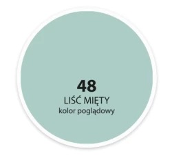 DEKORAL MOC KOLORU LIŚĆ MIĘTY 2,5L 